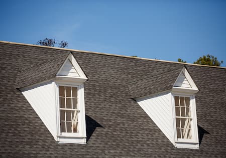 Roof Cleaning